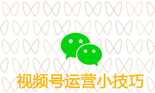 玩转微信的(视频号)新号怎么快速涨粉